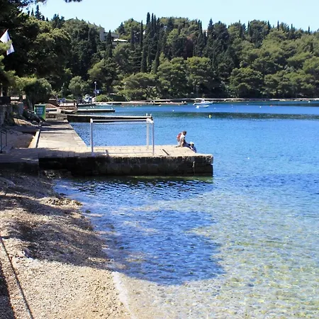 With Wifi Cavtat, Dubrovnik - 9063 Appartement Cavtat