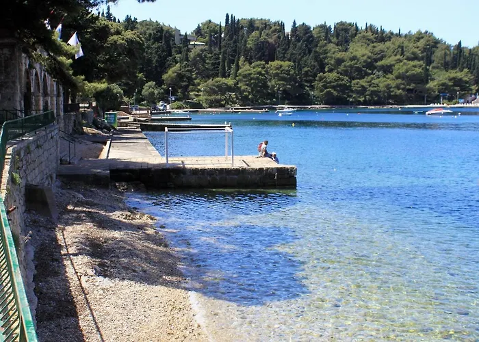 With Wifi Cavtat, Dubrovnik - 9063 Apartament Cavtat